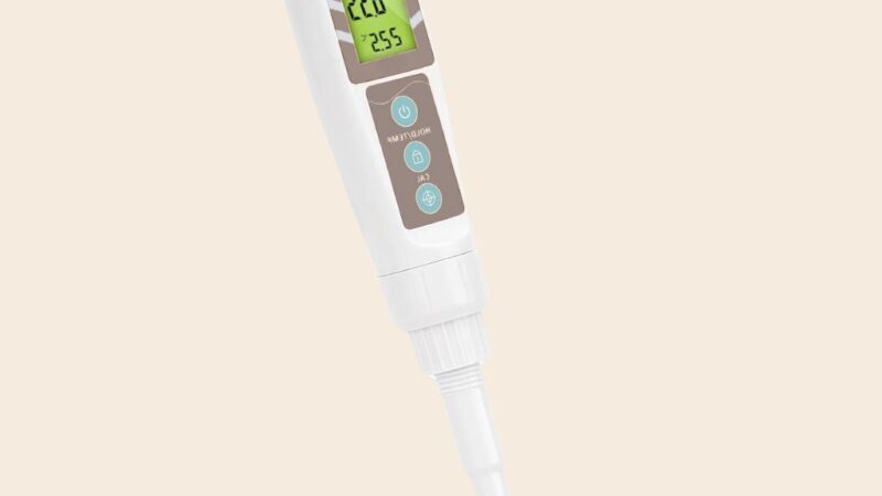 PH-Tests für Sauerteig