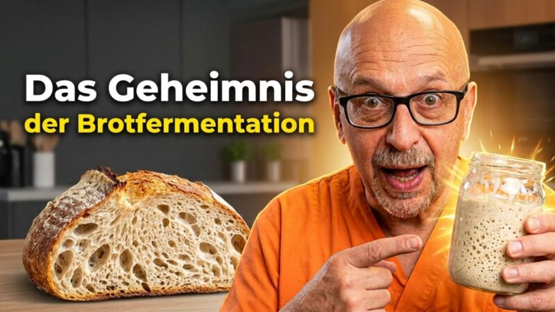 Nie wieder saures Brot! Der Brotfermentation-Trick für perfekten Sauerteig